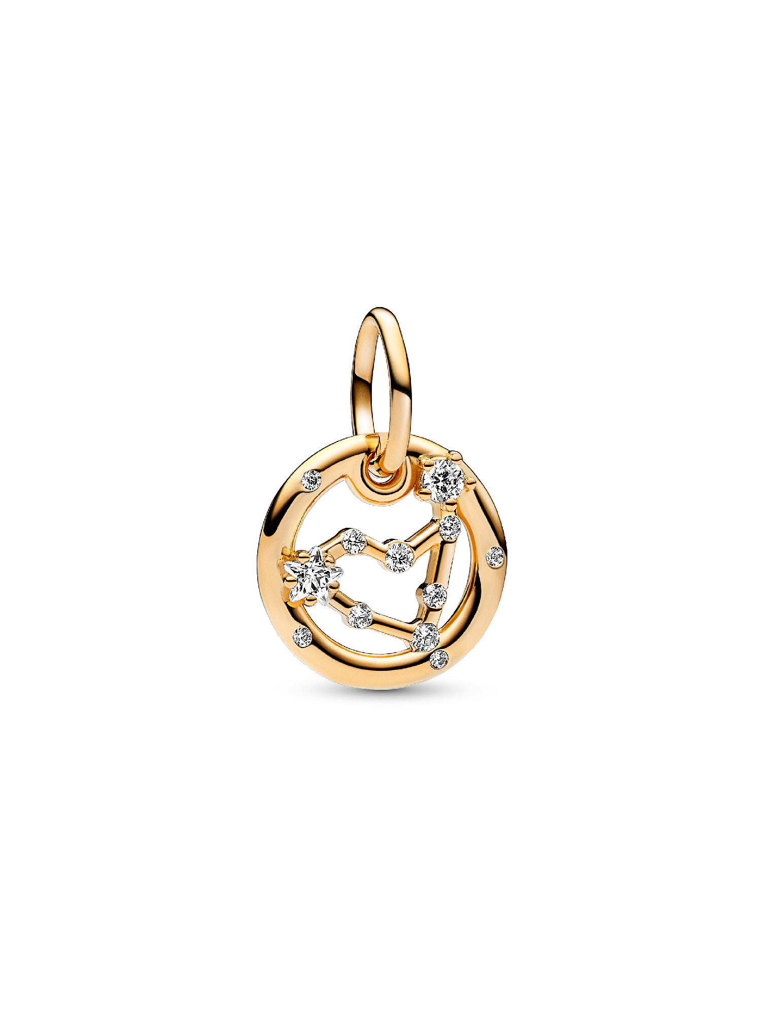 Capricorn Zodiac Dangle Charm
