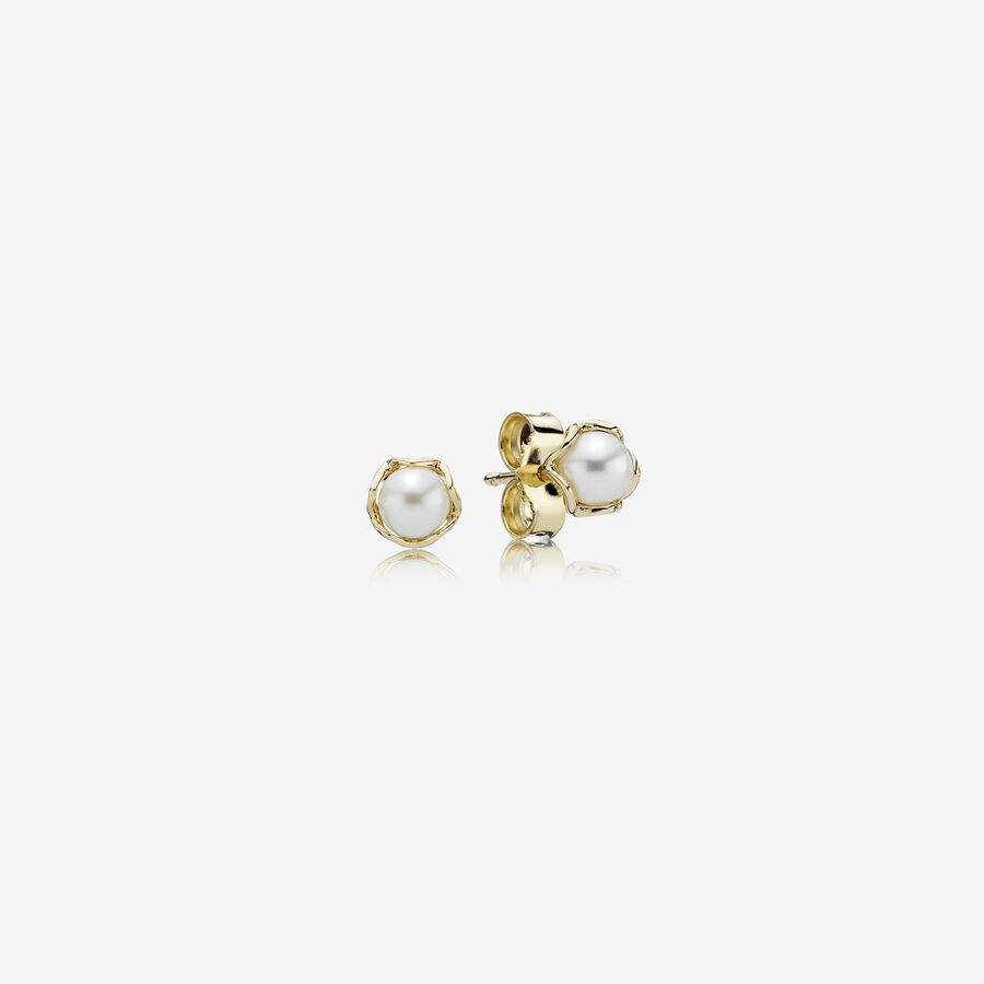 Pearl & Gold Stud Earrings - PANDORA image number 0