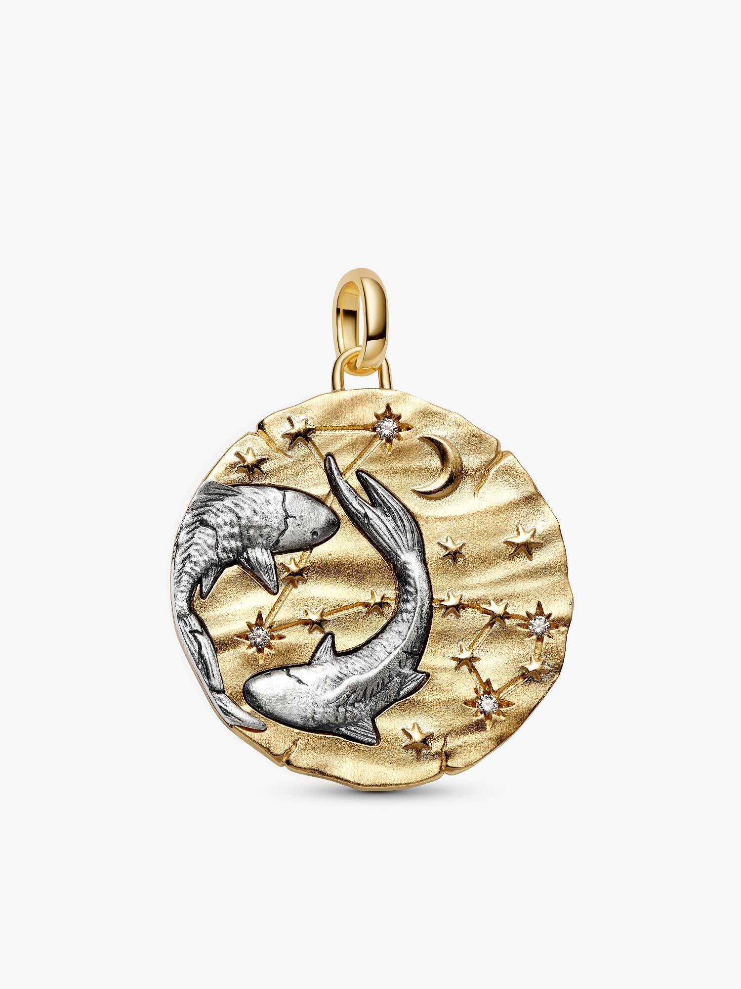 Pisces Zodiac Oversized Talisman Charm