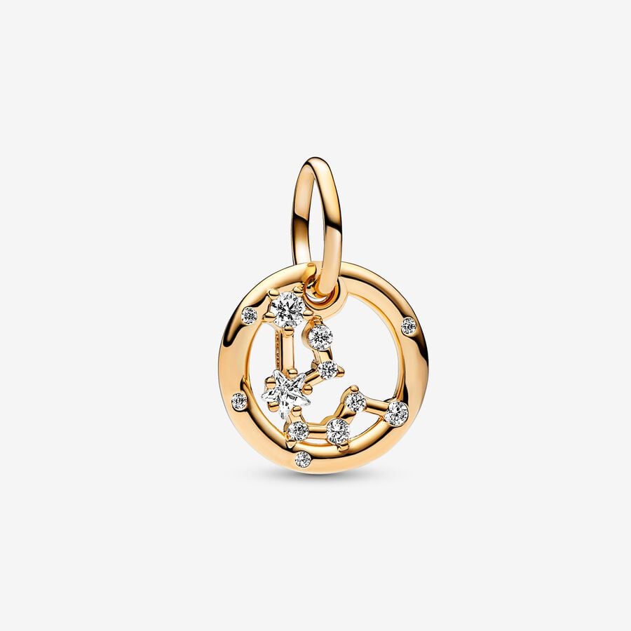 Aquarius Zodiac Dangle Charm image number 0