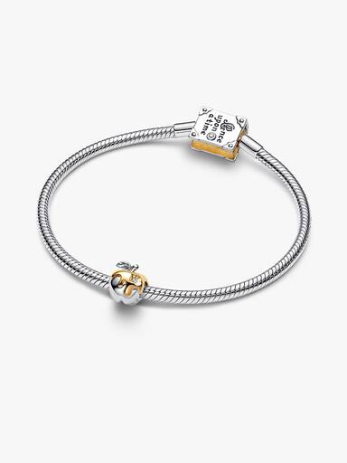 Disney Snow White Poison Apple Charm