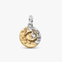 Pisces Zodiac Talisman Charm Pisces Zodiac Talisman Charm