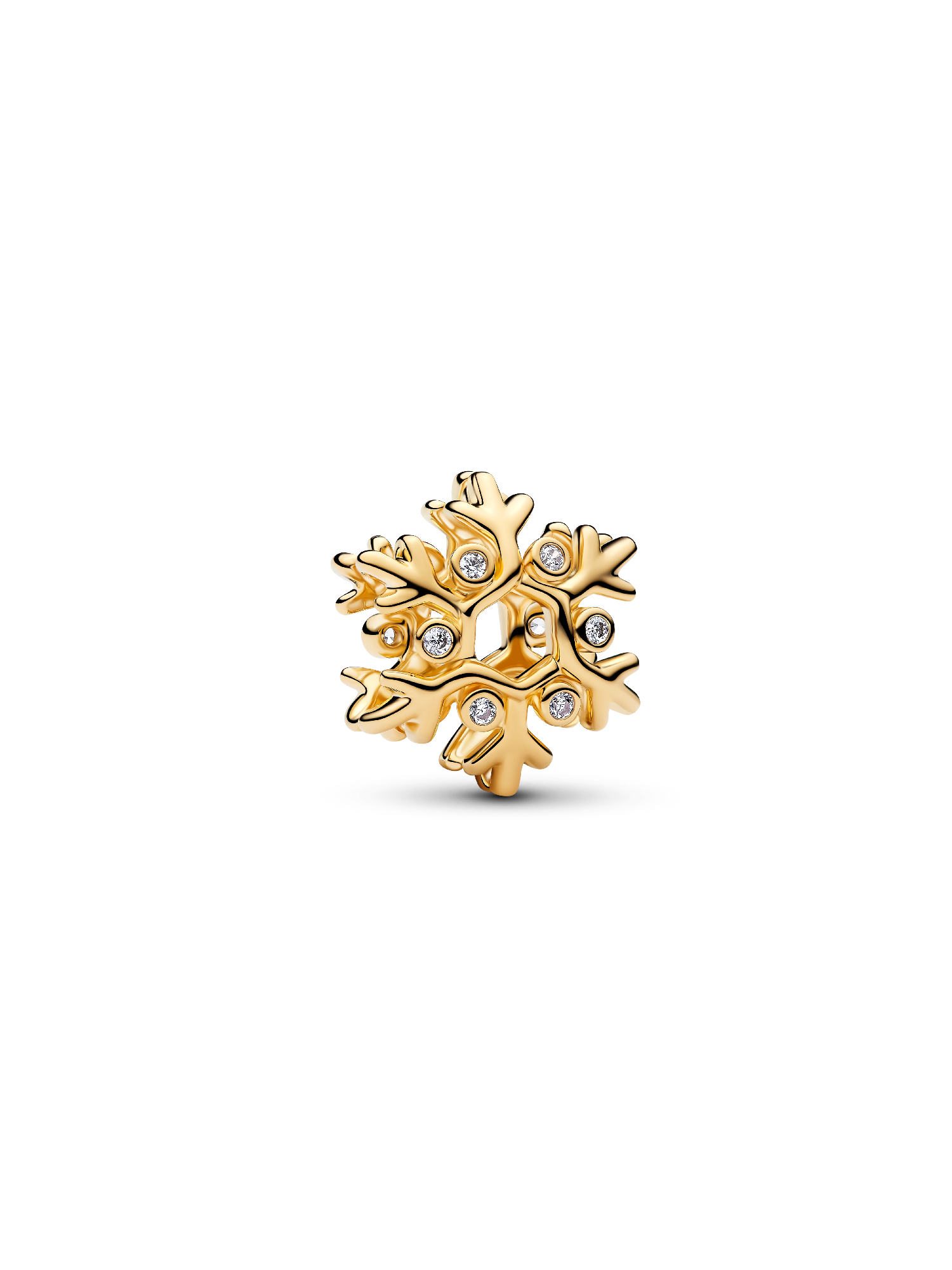 Snowflake Charm
