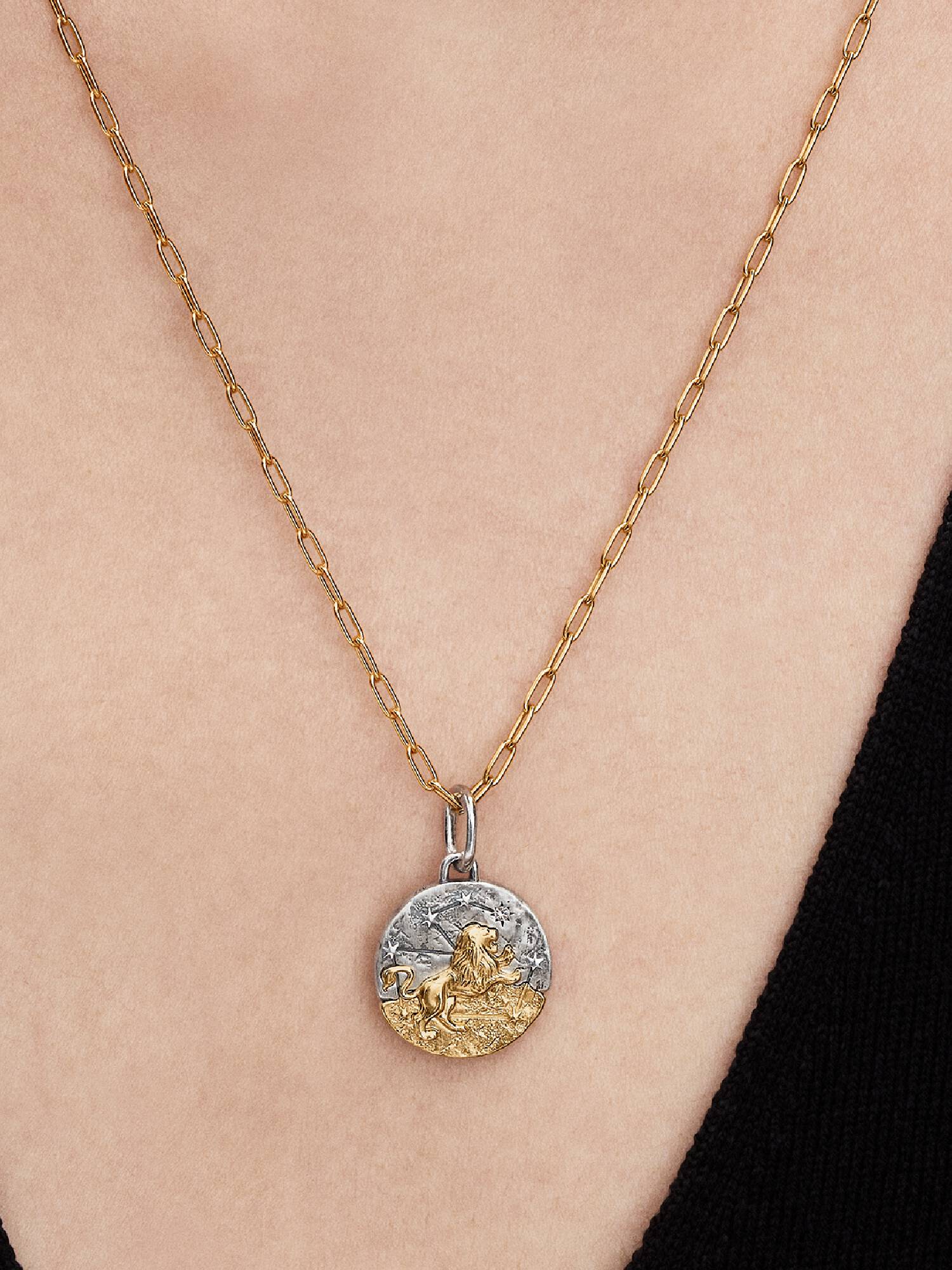 Leo Zodiac Talisman Charm