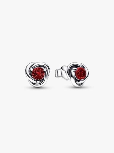 January Crystal Birthstone Eternity Circle Stud Earrings