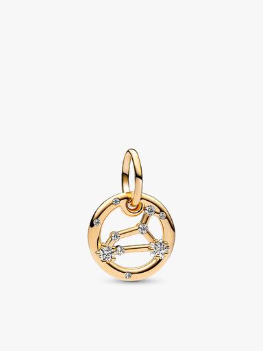 Leo Zodiac Charm and Necklace Set