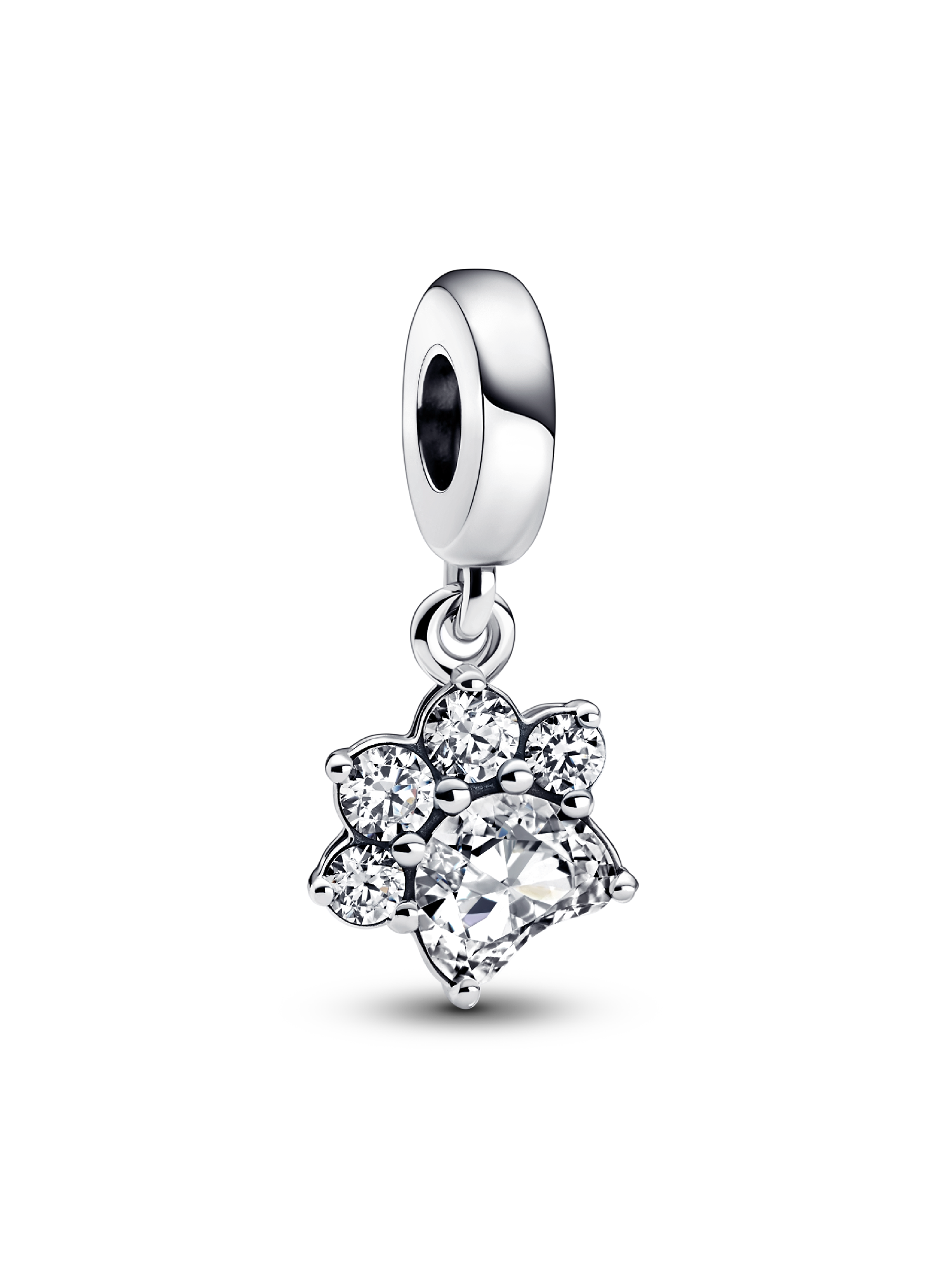 Sparkling Pet Paw Print Dangle Charm