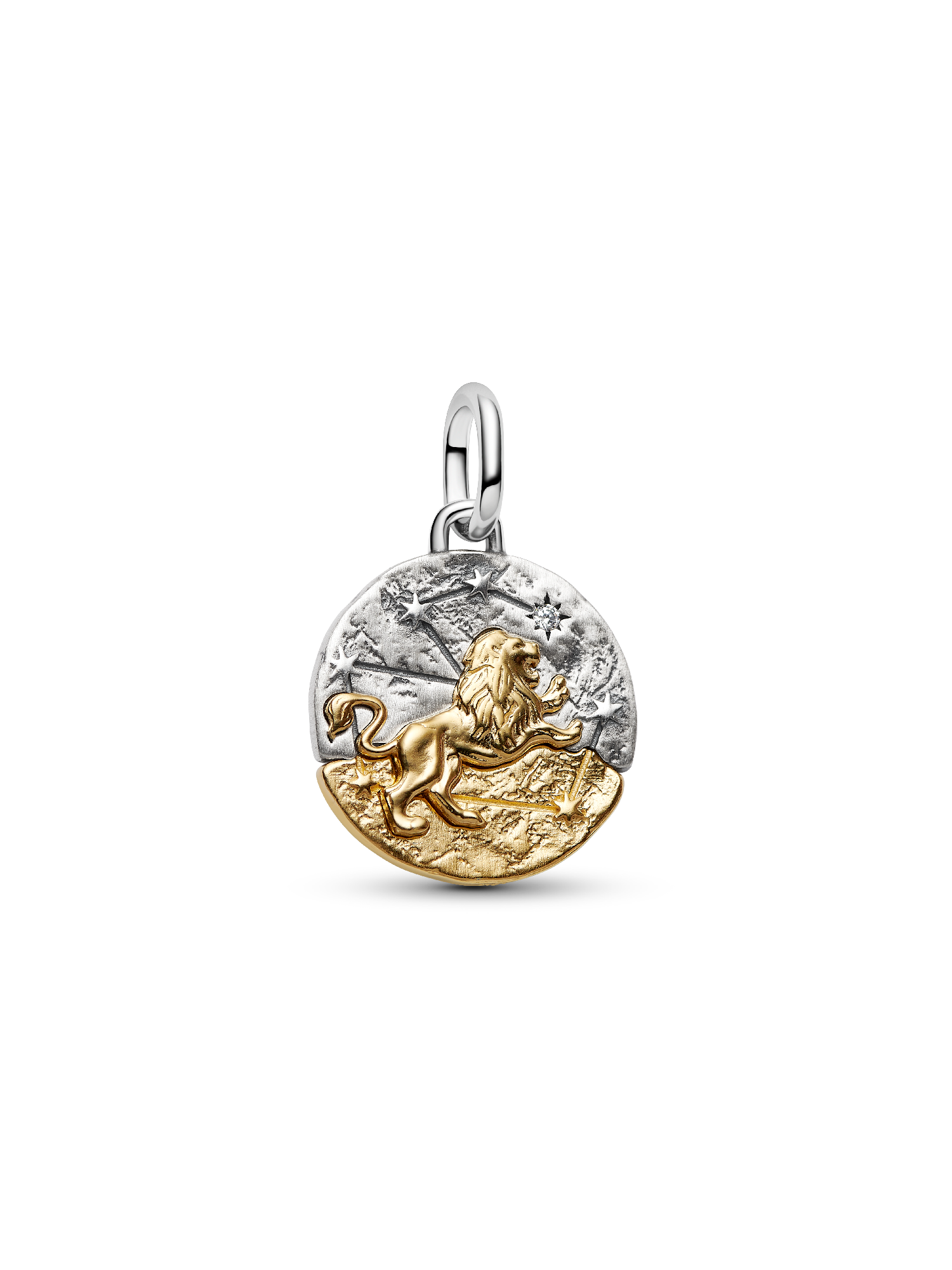 Leo Zodiac Talisman Charm