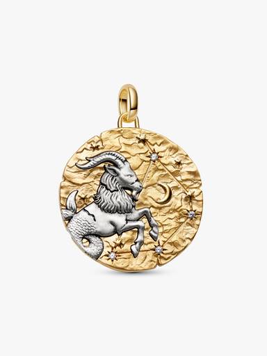 Capricorn Zodiac Oversized Talisman Charm