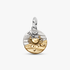 Cancer Zodiac Talisman Charm Cancer Zodiac Talisman Charm