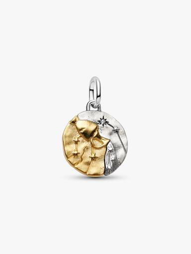 Aquarius Zodiac Talisman Charm