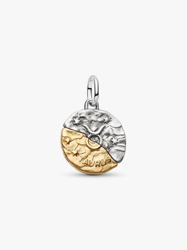 Taurus Zodiac Talisman Charm