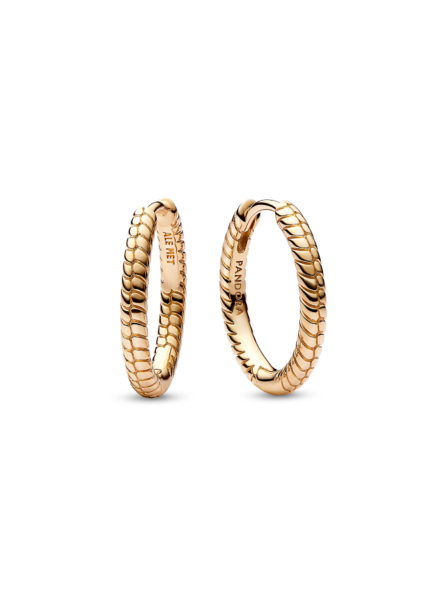 Pandora Moments Charm Hoop Earrings