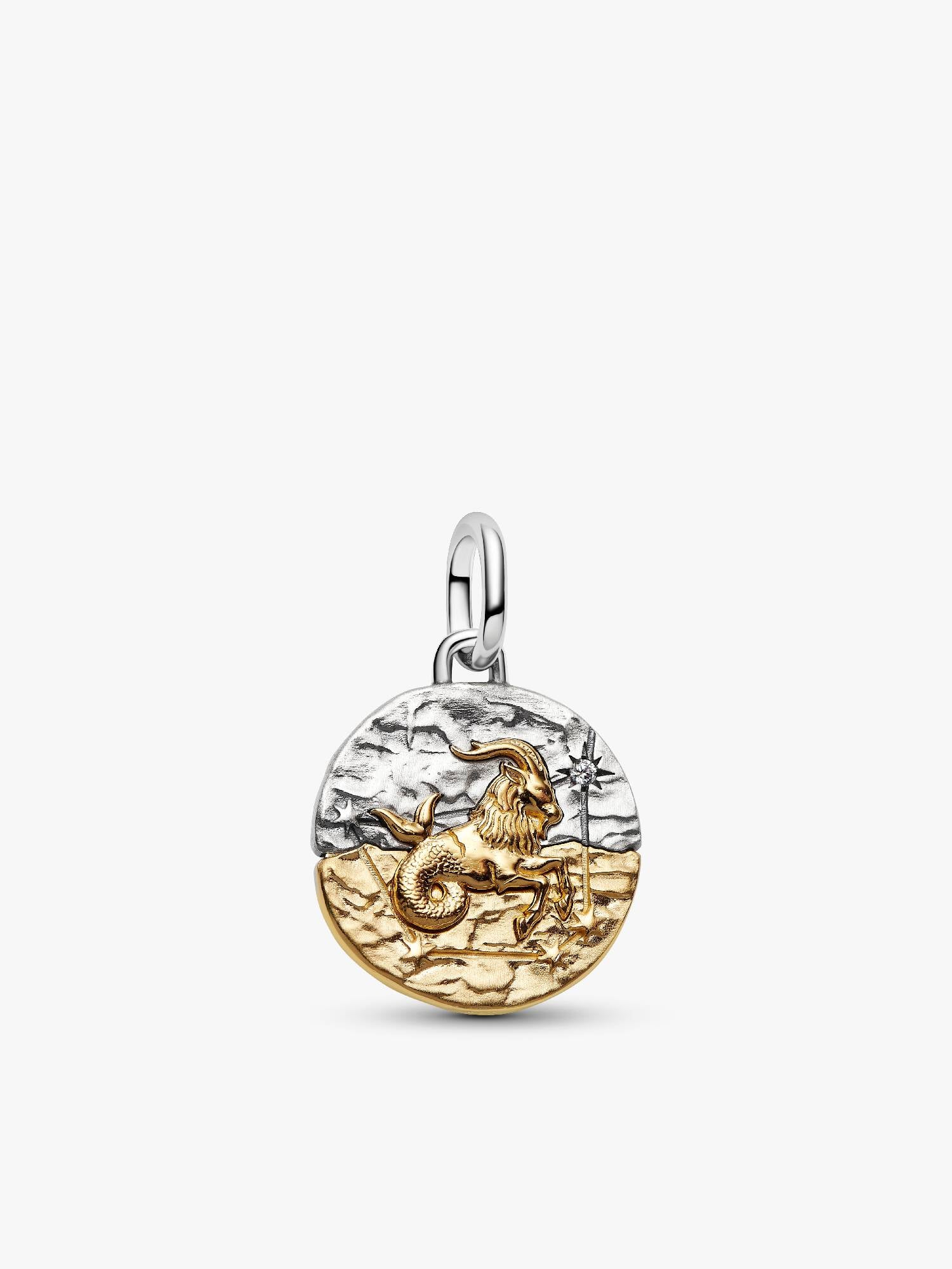 Capricorn Zodiac Talisman Charm