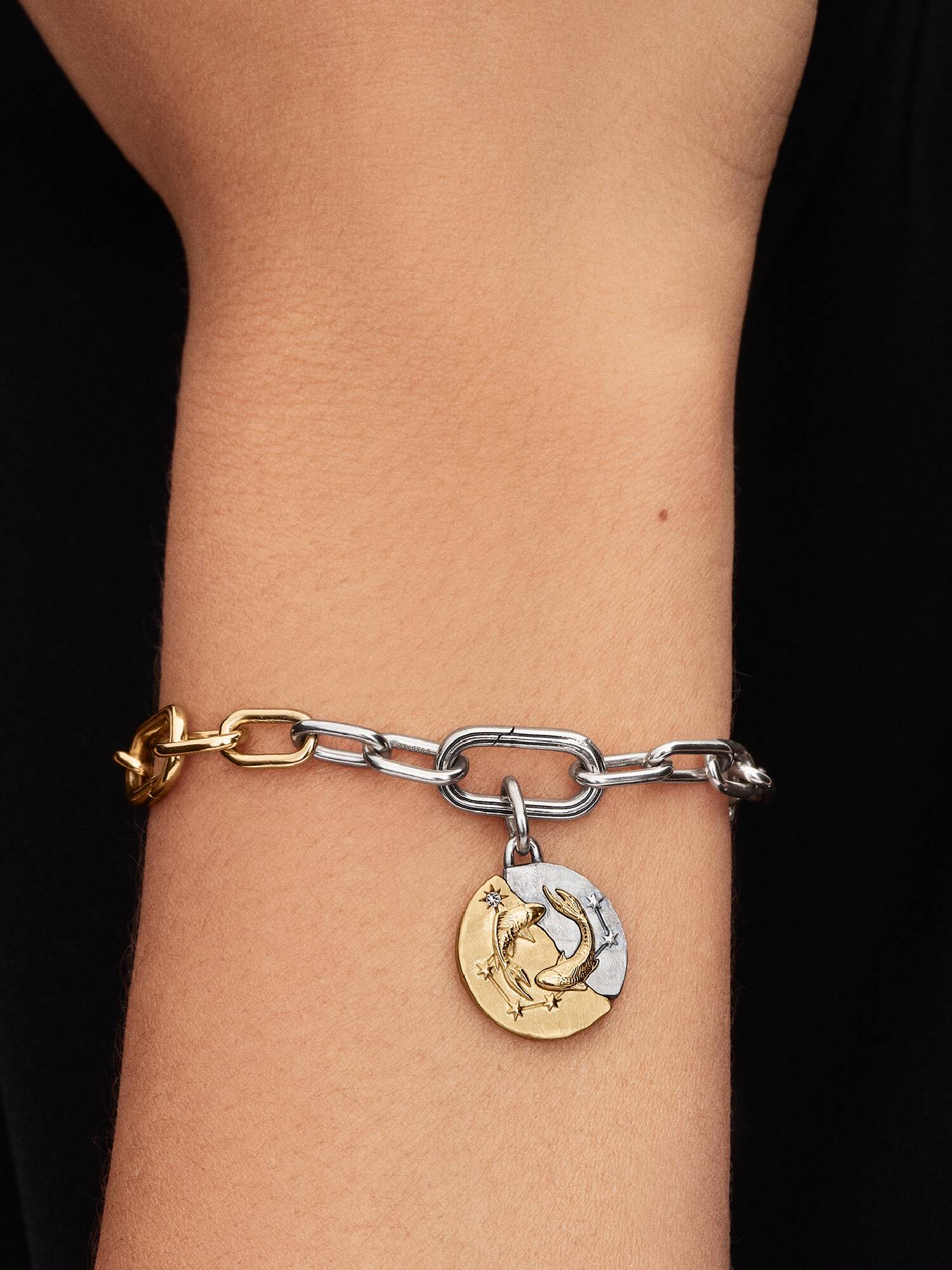 Pisces Zodiac Talisman Charm