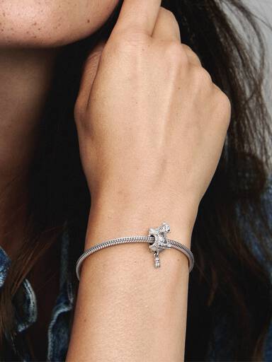Camel & Tassels Charm
