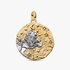 Leo Zodiac Oversized Talisman Charm Leo Zodiac Oversized Talisman Charm