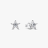 Sparkling Stella Stud Earrings Sparkling Stella Stud Earrings