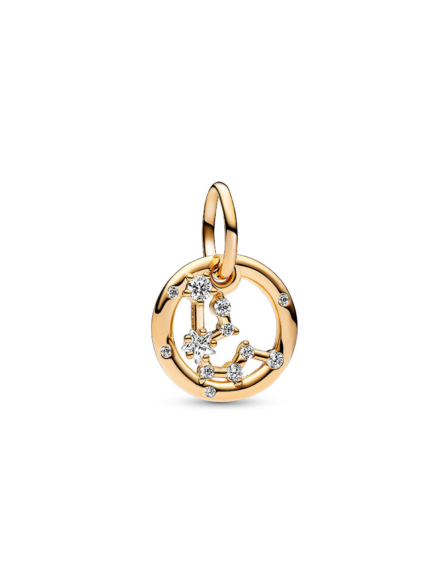 Aquarius Zodiac Dangle Charm