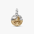 Capricorn Zodiac Talisman Charm Capricorn Zodiac Talisman Charm