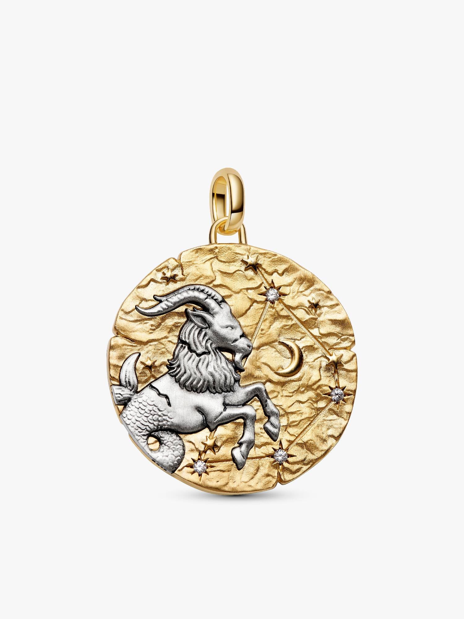 Capricorn Zodiac Oversized Talisman Charm