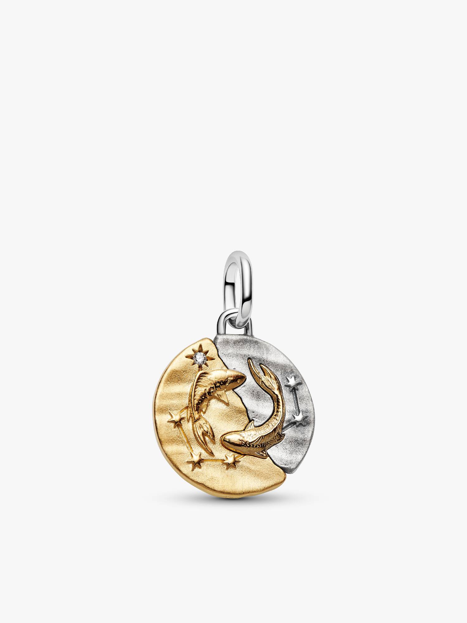 Pisces Zodiac Talisman Charm