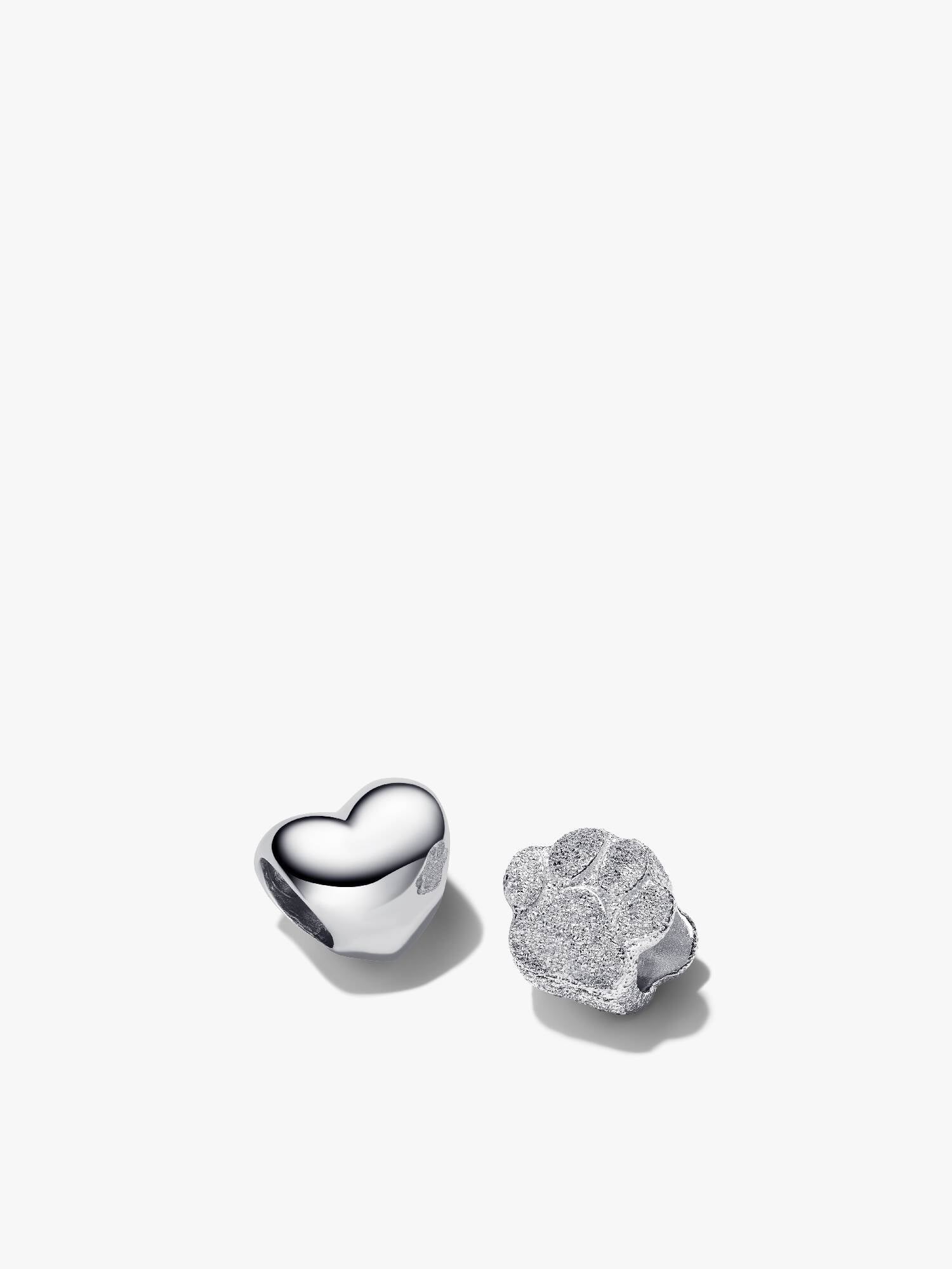 Pet Lover Charm Set