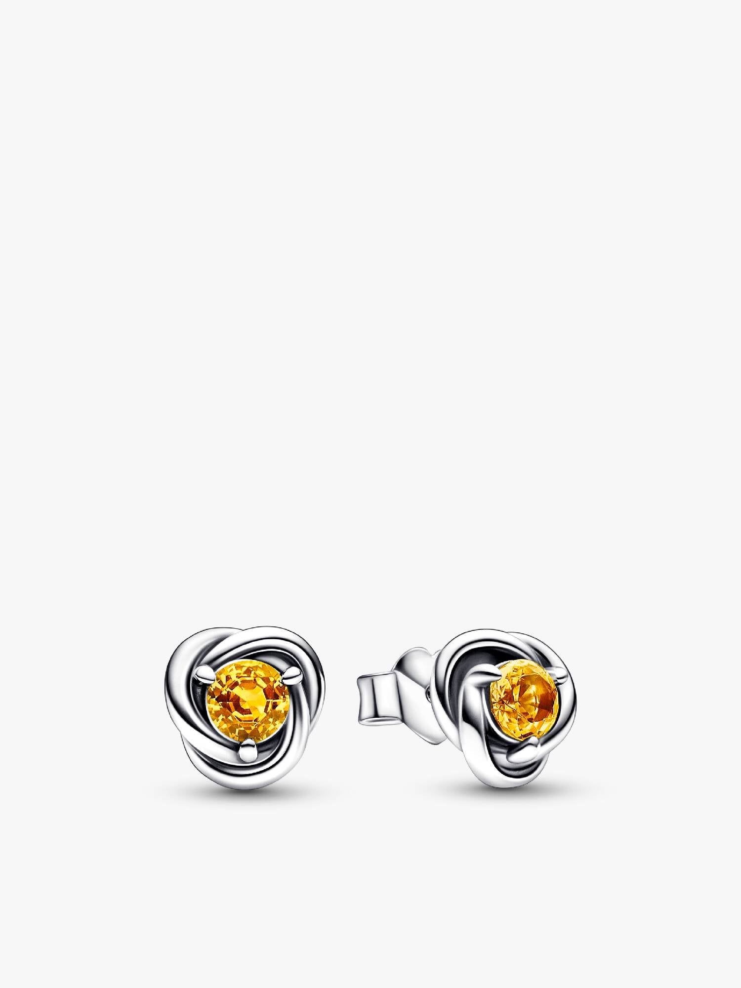 November Crystal Birthstone Eternity Circle Stud Earrings