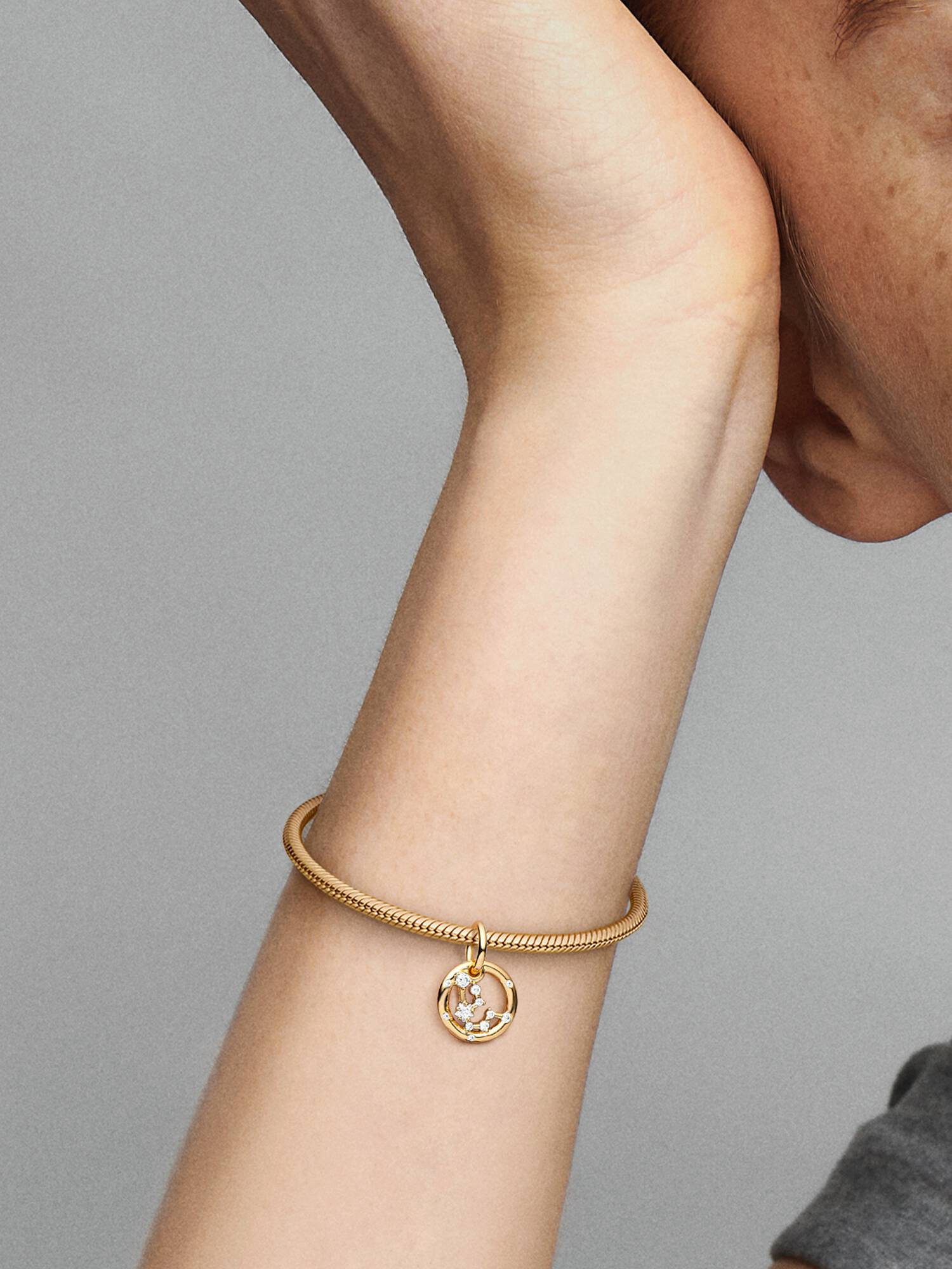 Aquarius Zodiac Dangle Charm