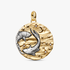 Pisces Zodiac Oversized Talisman Charm Pisces Zodiac Oversized Talisman Charm