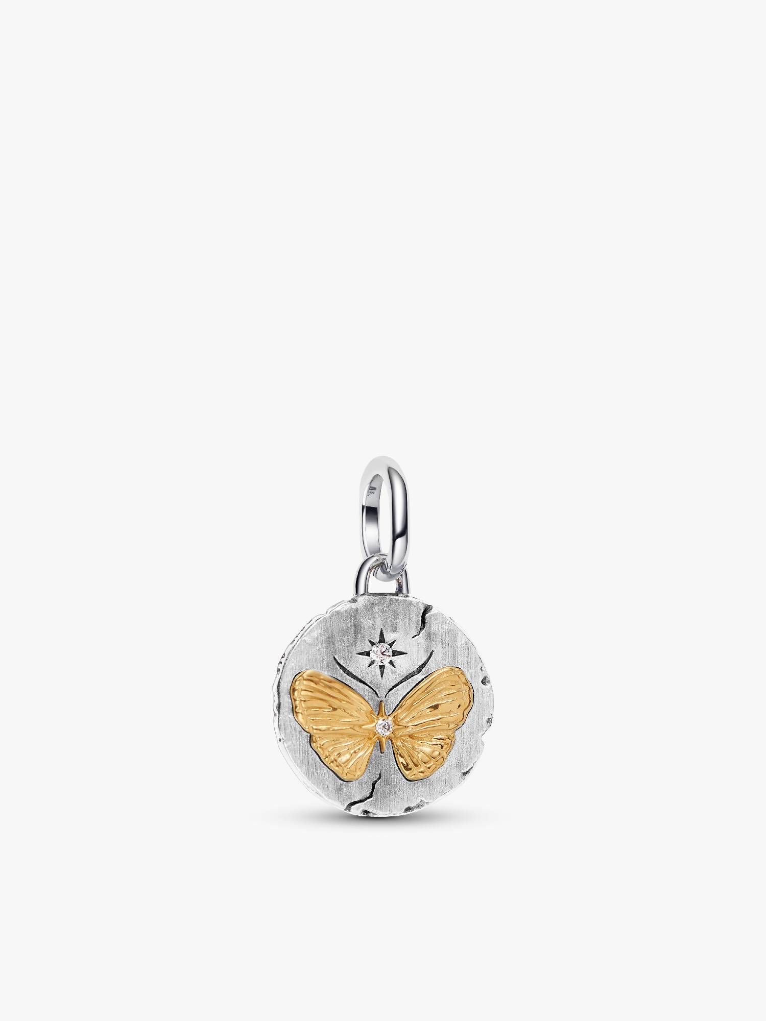 Butterfly Talisman Charm