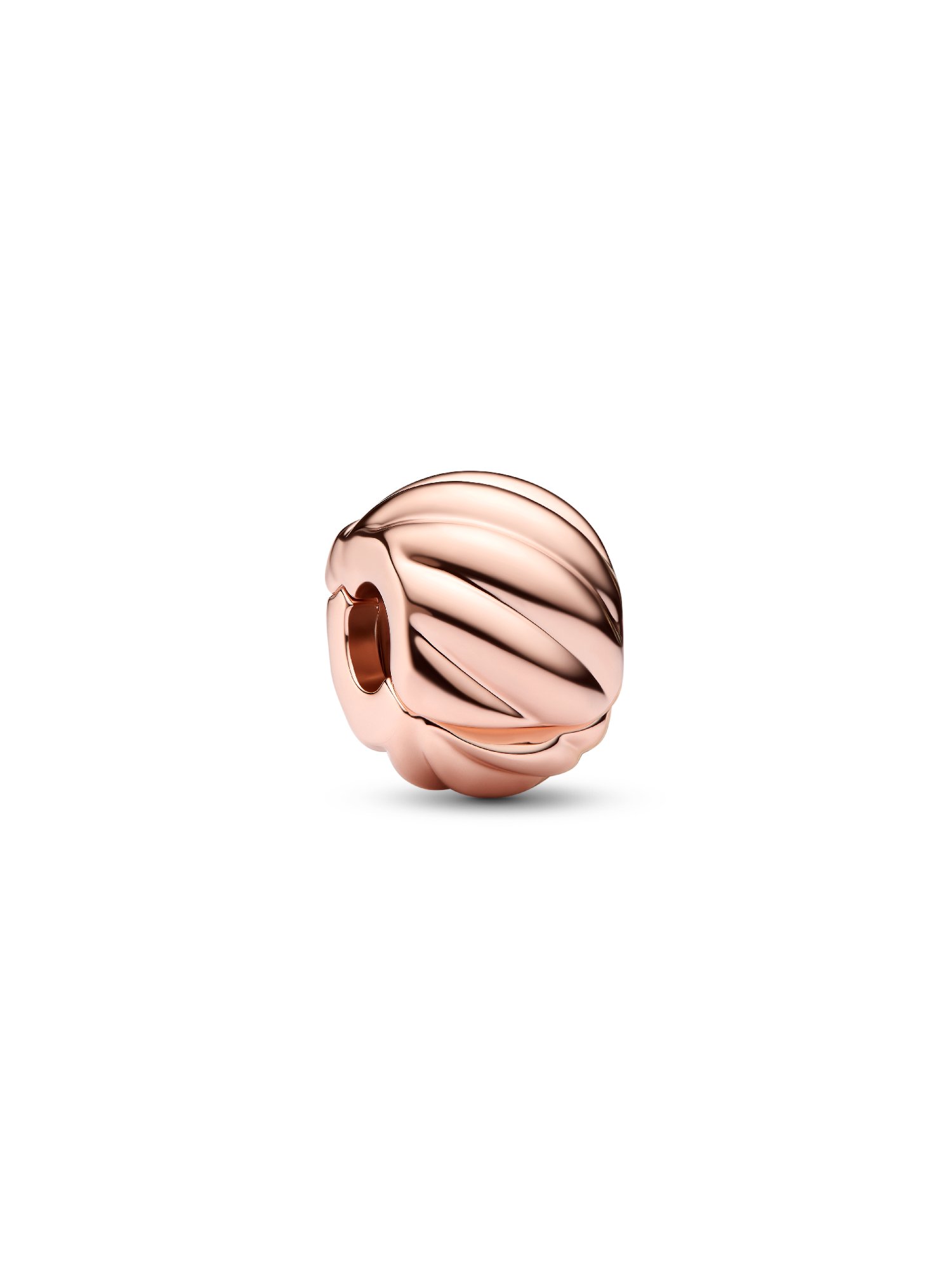 Polished Feathered Clip Charm