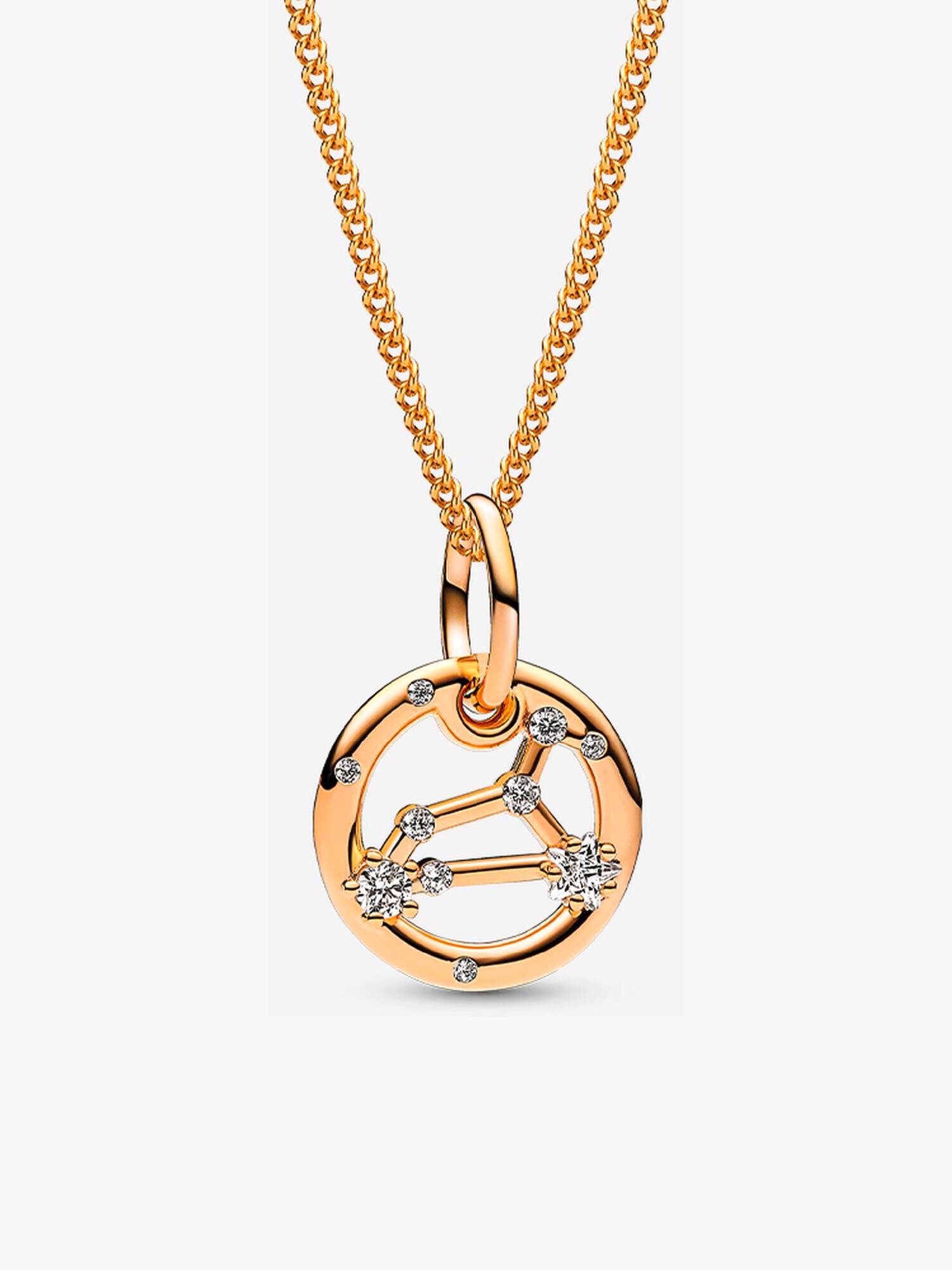 Leo Zodiac Charm and Necklace Set
