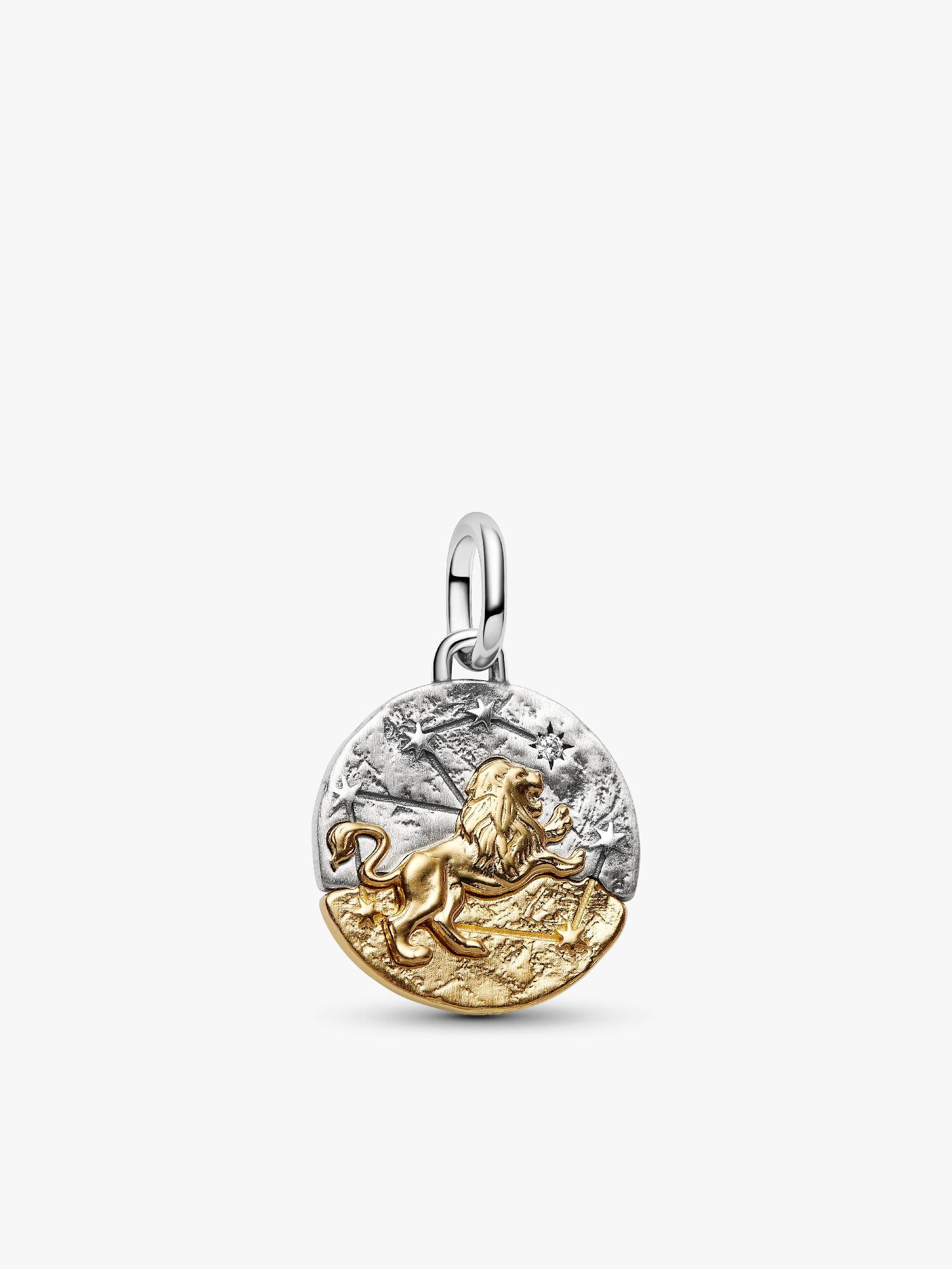 Leo Zodiac Talisman Charm
