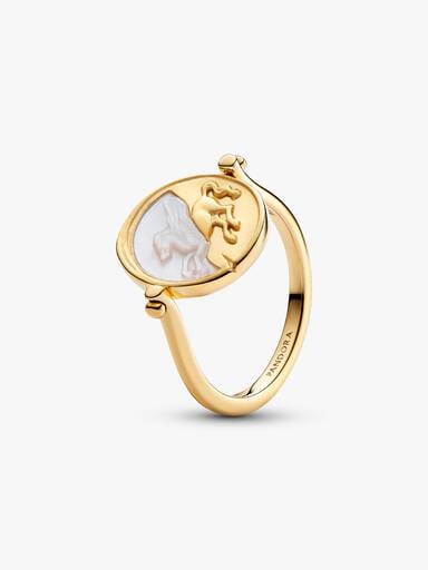 Pegasus Reversible Talisman Ring