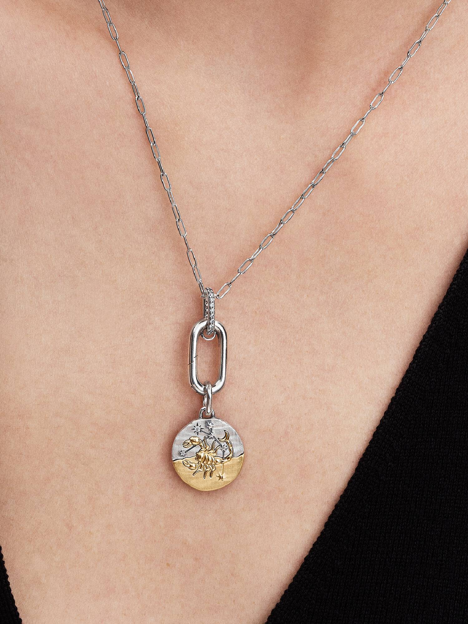 Scorpio Zodiac Talisman Charm