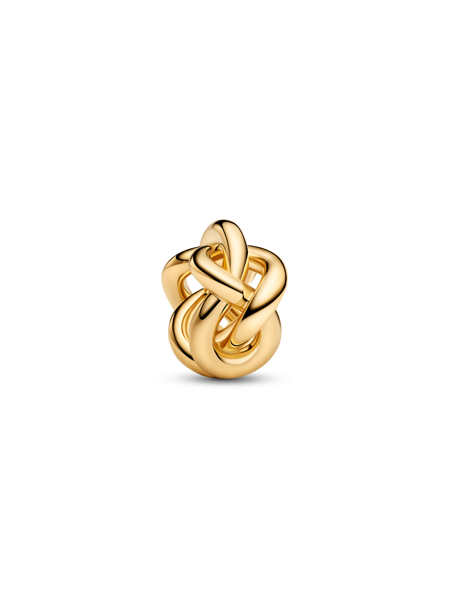 Infinity Knot Charm