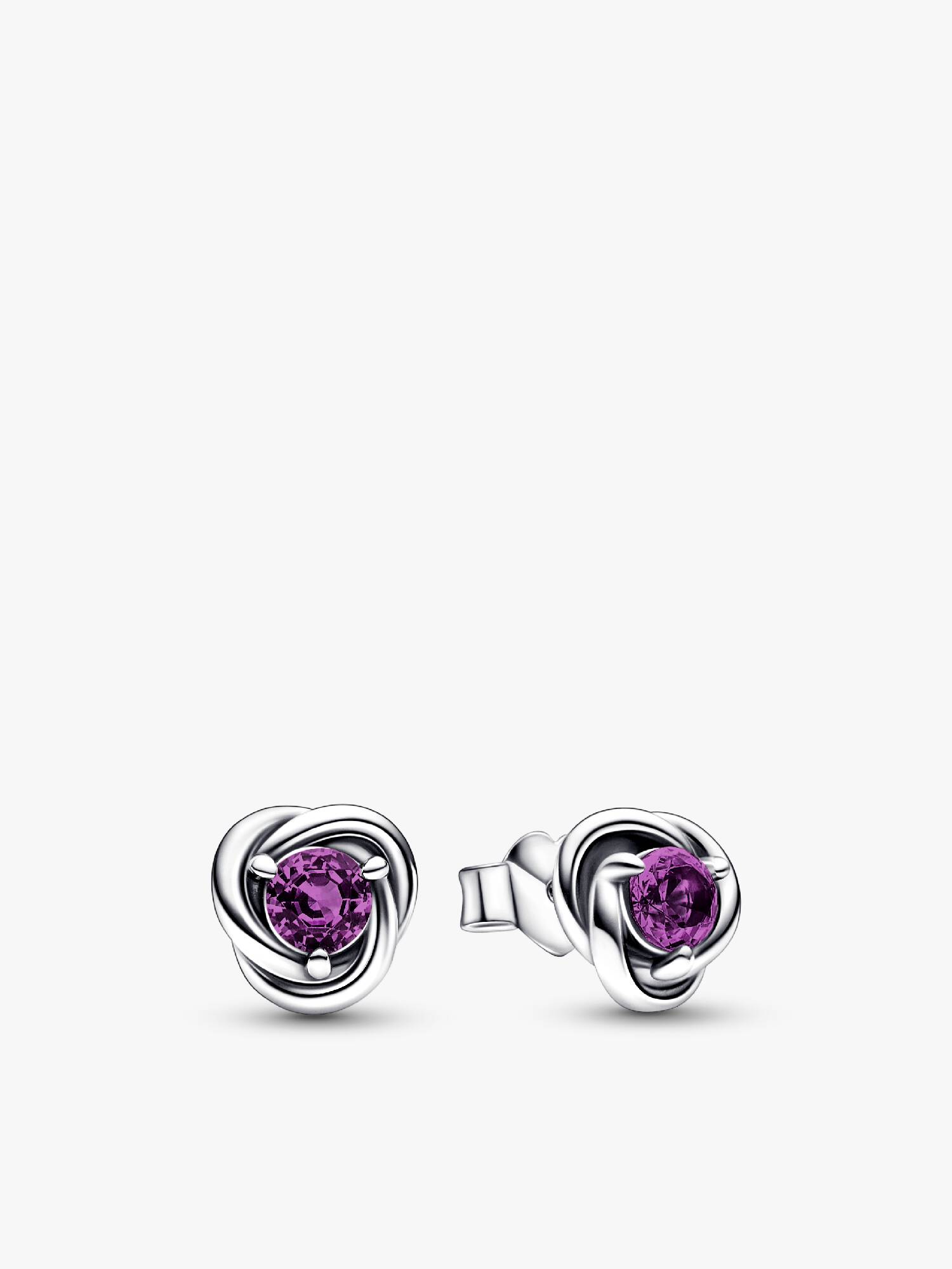 February Crystal Birthstone Eternity Circle Stud Earrings