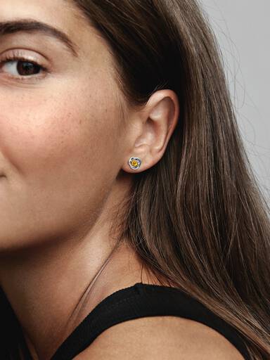 November Crystal Birthstone Eternity Circle Stud Earrings